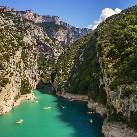 L'olivier *